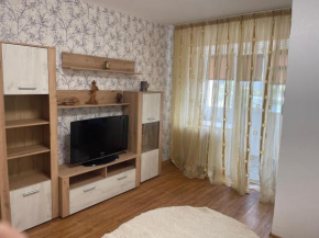Garsoniera -Single Room 91